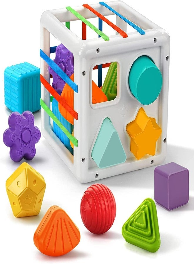 Zusaca Shape Sorting Toys Sensory Shape Sorting Toys Including Colorful Elastic Bands Sensory Bin with Balls & Blocks, Best Gift for Early Educational Babies and Toddlers - Multi. - Image 2